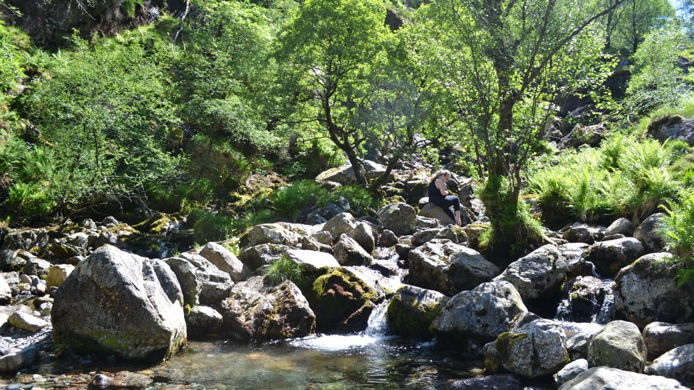 The Hidden Valley The Hidden Valley