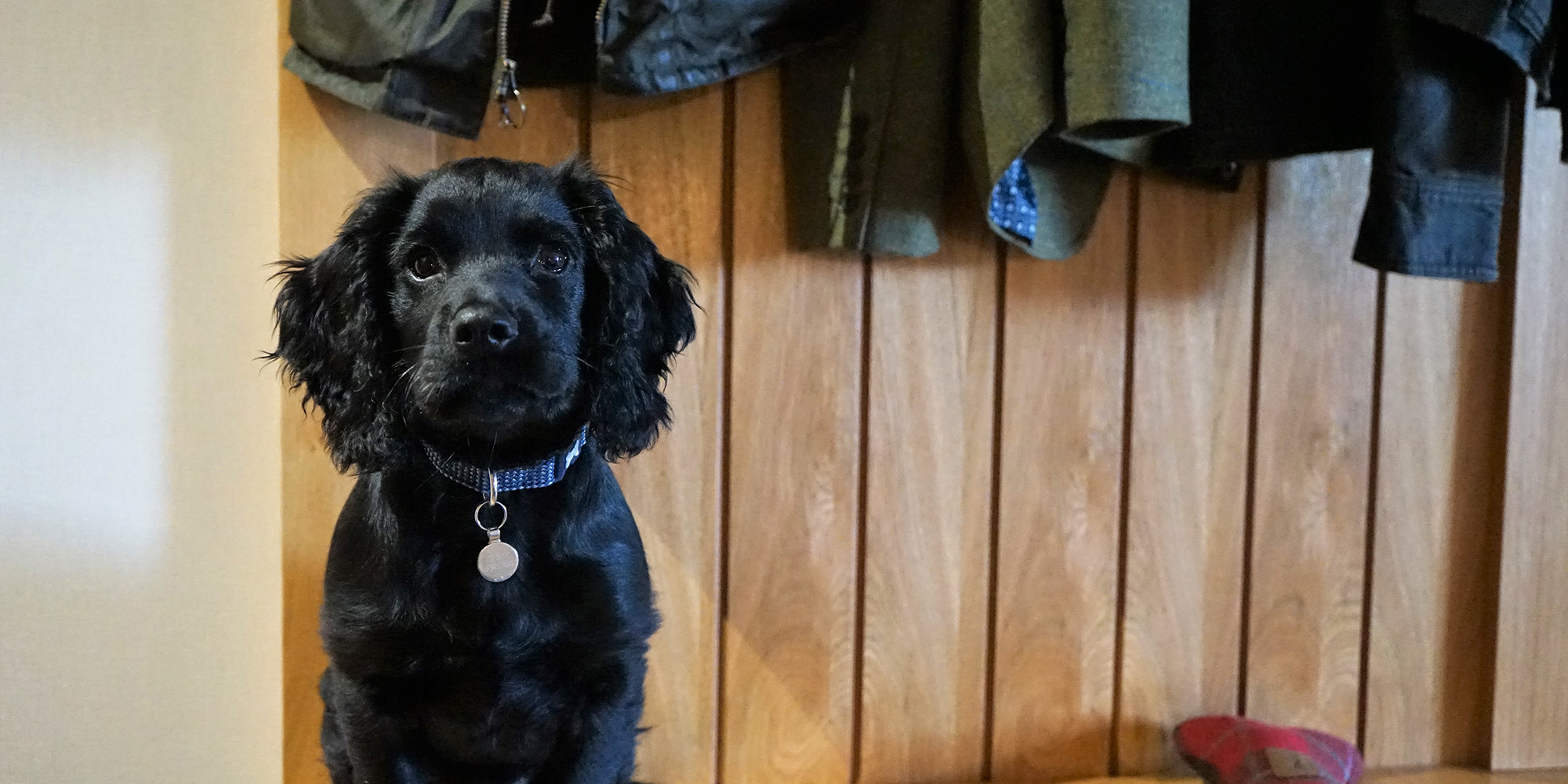 Image Gallery Kingshouse Hotel & Bunkhouse Glencoe