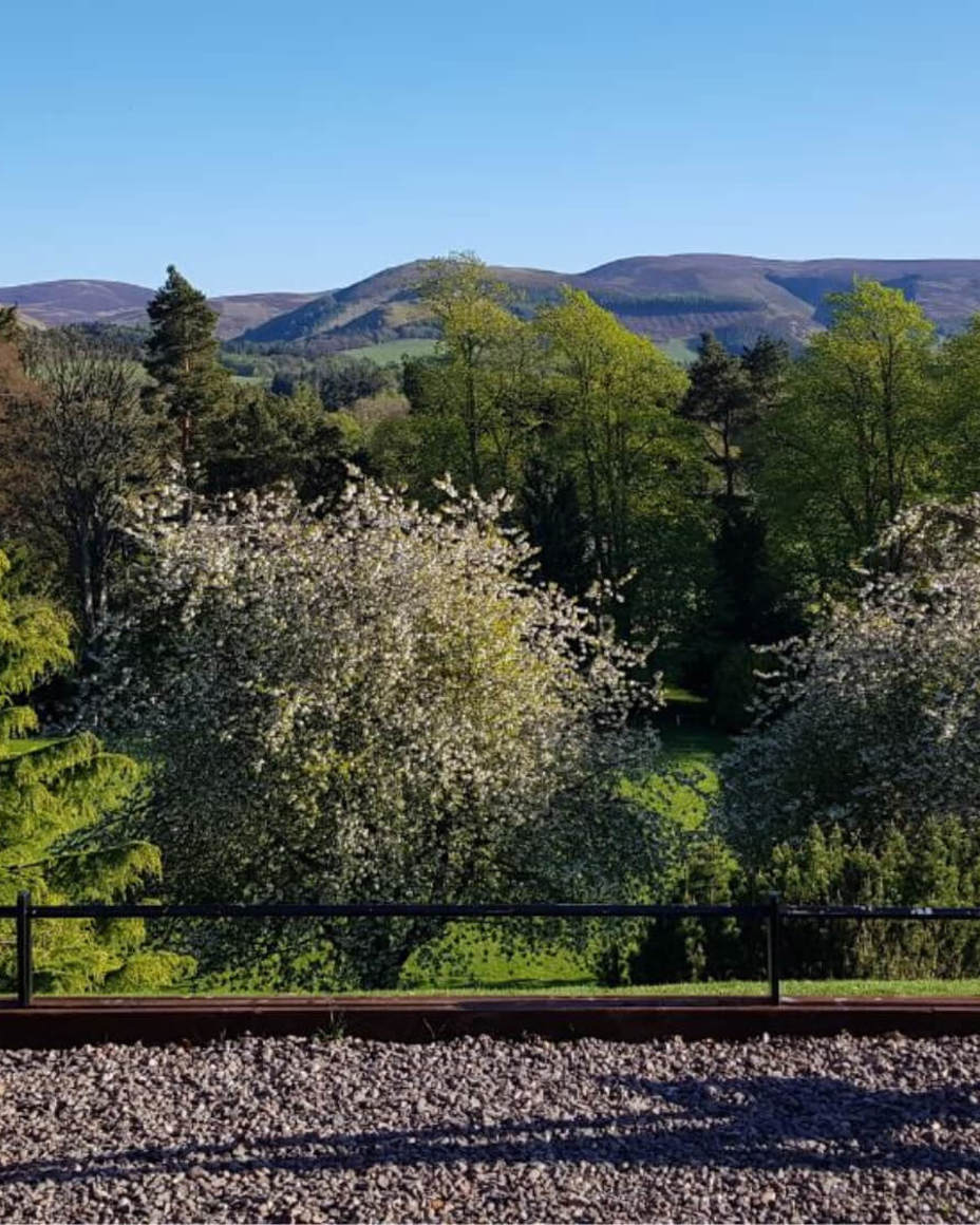 Exclusive NHS offer Exclusive NHS offer